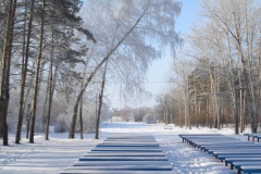 парк-им.Гагарина-зимой